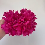 Lirio rosa fuxia