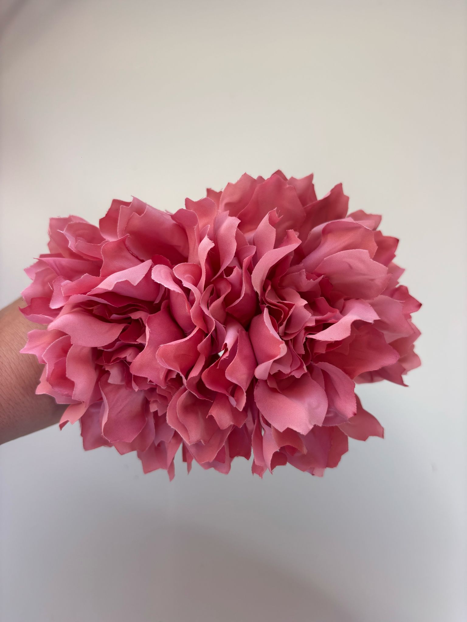 WhatsApp Image 2025-04-21 at 20.00.02 (2)