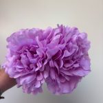 Peonía malva intenso